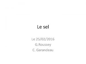 Le sel Le 25022016 G Roussey C Garandeau