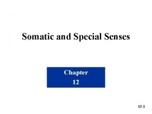 Somatic and Special Senses Chapter 12 12 1