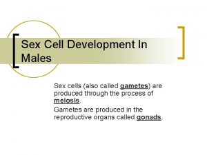 Sex Cell Development In Males Sex cells also