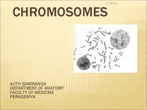 12192021 CHROMOSOMES AJITH SOMINANDA DEPARTMENT OF ANATOMY FACULTY