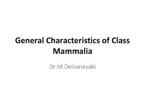 General Characteristics of Class Mammalia Dr M Deivanayaki