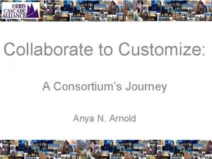 Collaborate to Customize A Consortiums Journey Anya N