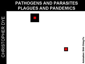 Animation Shih Ching Fu CHRISTOPHER DYE PATHOGENS AND