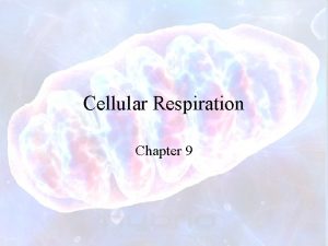 Cellular Respiration Chapter 9 Cellular Respiration Process by