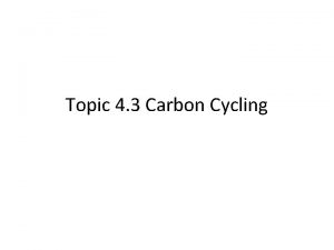 Topic 4 3 Carbon Cycling Carbon Fixation Autotrophs