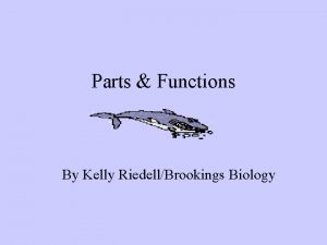 Parts Functions By Kelly RiedellBrookings Biology Whats the