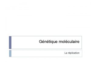 Gntique molculaire La rplication Structure primaire de lADN