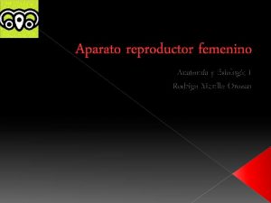 Aparato reproductor femenino Anatoma y fisiologa I Rodrigo