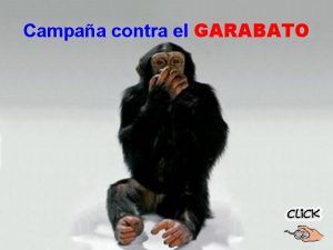 Campaa contra el GARABATO Con el auspicio del