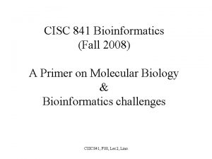 CISC 841 Bioinformatics Fall 2008 A Primer on