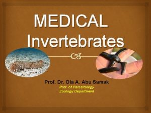 MEDICAL Invertebrates Prof Dr Ola A Abu Samak