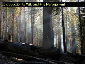 Introduction to Wildland Fire Management REM 244 Introduction