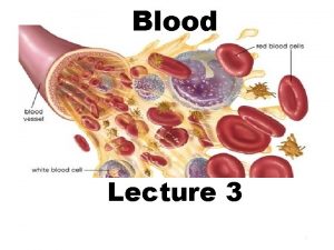 Blood Lecture 3 1 Agranular leukocytes lymphocyte Differential