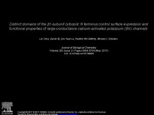 Distinct domains of the 1 subunit cytosolic N