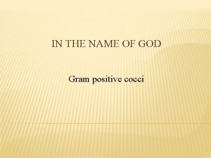 IN THE NAME OF GOD Gram positive cocci