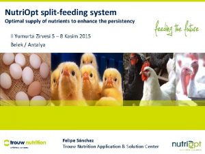 Nutri Opt splitfeeding system Optimal supply of nutrients