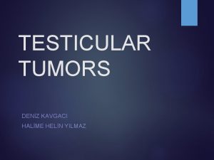 TESTICULAR TUMORS DENZ KAVGACI HALME HELN YILMAZ TNM