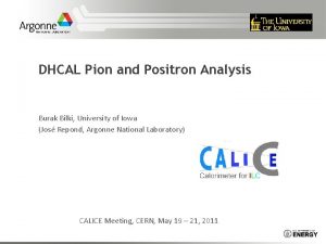 DHCAL Pion and Positron Analysis Burak Bilki University