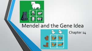 Mendel and the Gene Idea Chapter 14 You