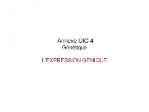 Annexe UIC 4 Gntique LEXPRESSION GENIQUE I Lexpression