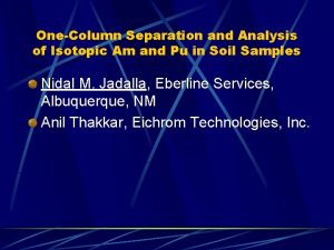 OneColumn Separation and Analysis of Isotopic Am and