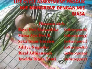 LIFE CYCLE ASSESTMENT PRODUK MIE MANGROVE DENGAN MIE