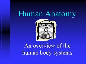 Human Anatomy An overview of the human body