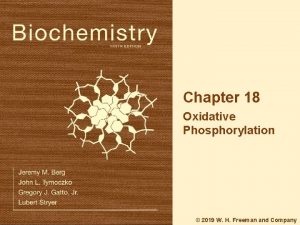 Chapter 18 Oxidative Phosphorylation 2019 W H Freeman