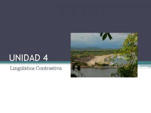 UNIDAD 4 Lingstica Contrastiva Las Oraciones Simples La