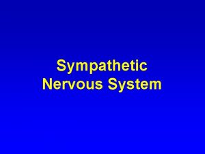 Sympathetic Nervous System Nervous System CNS Brain Spinal