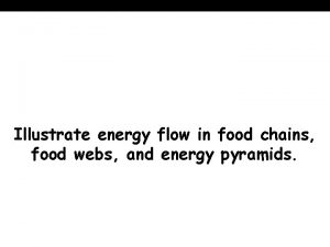 Illustrate energy flow in food chains food webs