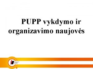 PUPP vykdymo ir organizavimo naujovs PUPP tvarkaratis Patvirtintas