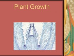 Plant Growth Plant Growth Trumpet vine Patterns of