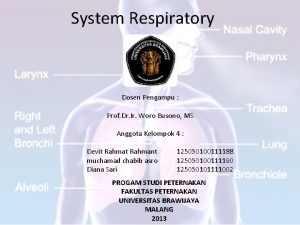 System Respiratory Dosen Pengampu Prof Dr Ir Woro