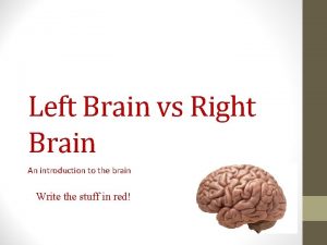 Left Brain vs Right Brain An introduction to
