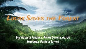 Lucas Saves the Forest By Victoria Sanchez Alexis