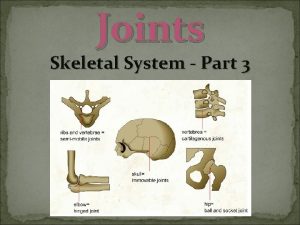 Joints Skeletal System Part 3 Joints With one