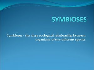 SYMBIOSES Symbioses the close ecological relationship between organisms