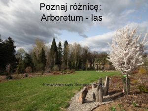 Poznaj rnic Arboretum las Przygotowane przez Gimnazjum w