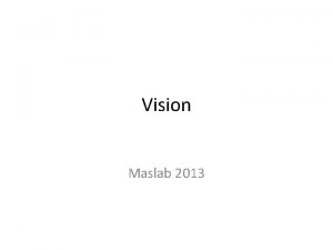 Vision Maslab 2013 Vision is HARD Circuitry of