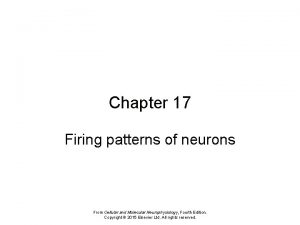 Chapter 17 Firing patterns of neurons From Cellular