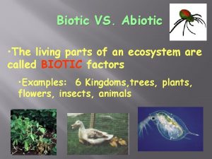 Biotic VS Abiotic The living parts of an