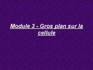 Module 3 Gros plan sur la cellule Historique