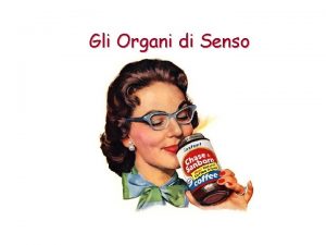 Gli Organi di Senso Gli Organi di Senso