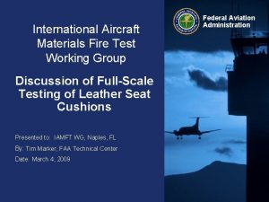 International Aircraft Materials Fire Test Working Group Discussion