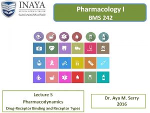 Pharmacology I BMS 242 Lecture 5 Pharmacodynamics DrugReceptor