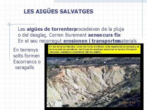 LES AIGES SALVATGES Les aiges de torrentera procedeixen