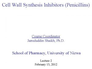 Cell Wall Synthesis Inhibitors Penicillins Course Coordinator Jamaluddin