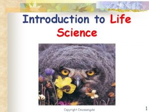 Introduction to Life Science Copyright Cmassengale 1 Biology