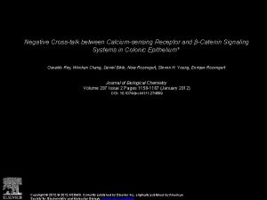 Negative Crosstalk between Calciumsensing Receptor and Catenin Signaling